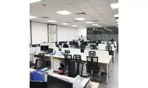 5 mẫu ghế xoay văn phòng lưng lưới được lựa chọn nhiều nhất trong mùa hè
