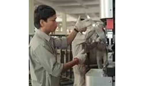Câu chuyện của sự phát triển song hành 