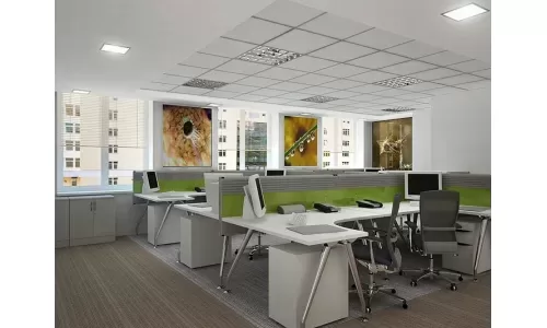 [Phong Thủy]Tân Trang Phòng Làm Việc Sao Cho Thuận Lợi?