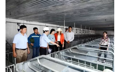 Đại sứ Israel tại Việt Nam thăm trang trại chăn nuôi Hòa Phát