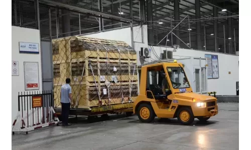 Hòa Phát nhập heo giống thuần chủng đầu tiên từ Đan Mạch