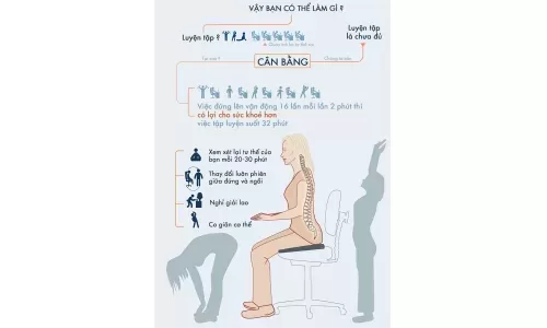 5 Phút Thư Giãn Mỗi Ngày Với Ghế Họp Chân Quỳ