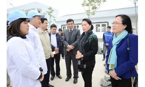 Chủ tịch Quốc hội thăm trại bò công nghệ cao của Hòa Phát