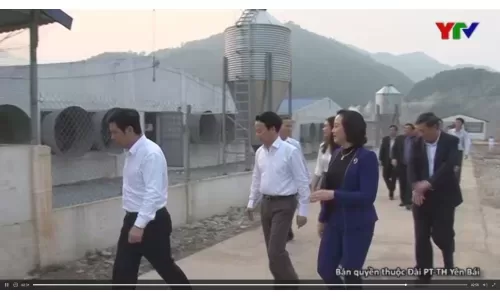 Lãnh đạo tỉnh Thái Bình và Yên Bái thăm dự án chăn nuôi