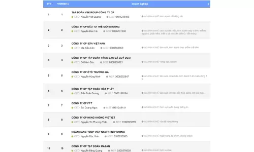 Hòa Phát tiếp tục thăng hạng trong Top 500 DN lớn nhất Việt Nam