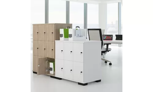 Tủ để đồ cá nhân mini được ưa chuộng sử dụng với không gian nhỏ