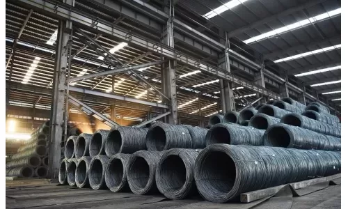 Hòa Phát lãi 2.756 tỷ đồng trong quý II, đã hoàn thành 56% kế hoạch năm