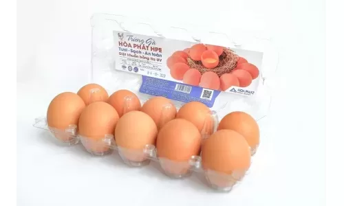 Hòa Phát cung cấp gần 550.000 quả trứng gà sạch mỗi ngày, lớn nhất miền Bắc