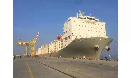 Hòa Phát nhập 13.000 con bò Úc về Việt Nam