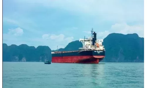 Hòa Phát mua thêm tàu The Prosperity tải trọng hơn 80.000 tấn