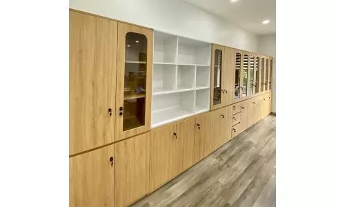 Lý do nên lựa chọn tủ đựng hồ sơ văn phòng hòa phát