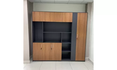 Tổng hợp các loại tủ đựng tài liệu văn phòng hòa phát cho giám đốc