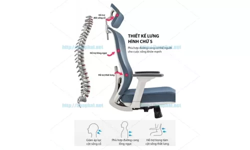 Những yêu cầu của 1 chiếc ghế làm việc chống đau lưng