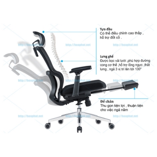 Ưu điểm Ghế công thái học GLE02