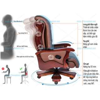 Ghế giám đốc TQ20