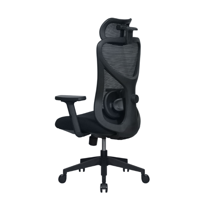 Ghế công thái học FMX822