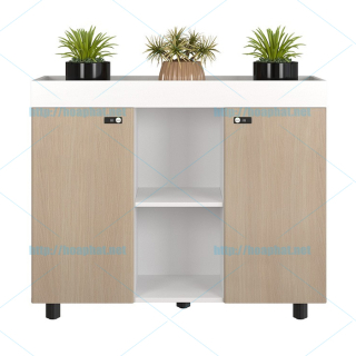 Tủ tài liệu thấp NTV1000-3T2