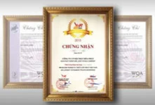 Chứng nhận thành tựu Nội thất Hòa Phát 3