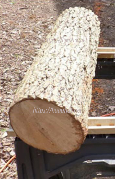 Quy trình cơ bản để sản xuất gỗ veneer 1