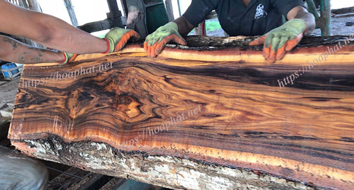 Quy trình cơ bản để sản xuất gỗ veneer 3