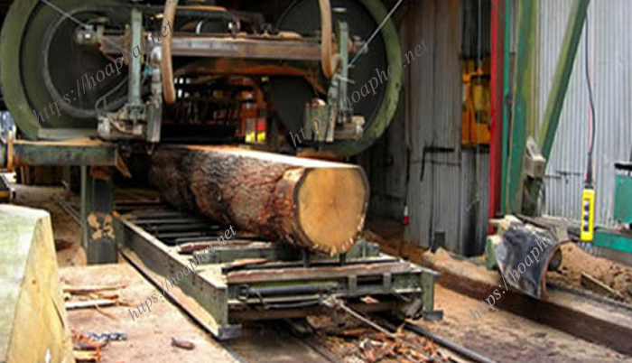 Quy trình cơ bản để sản xuất gỗ veneer 4