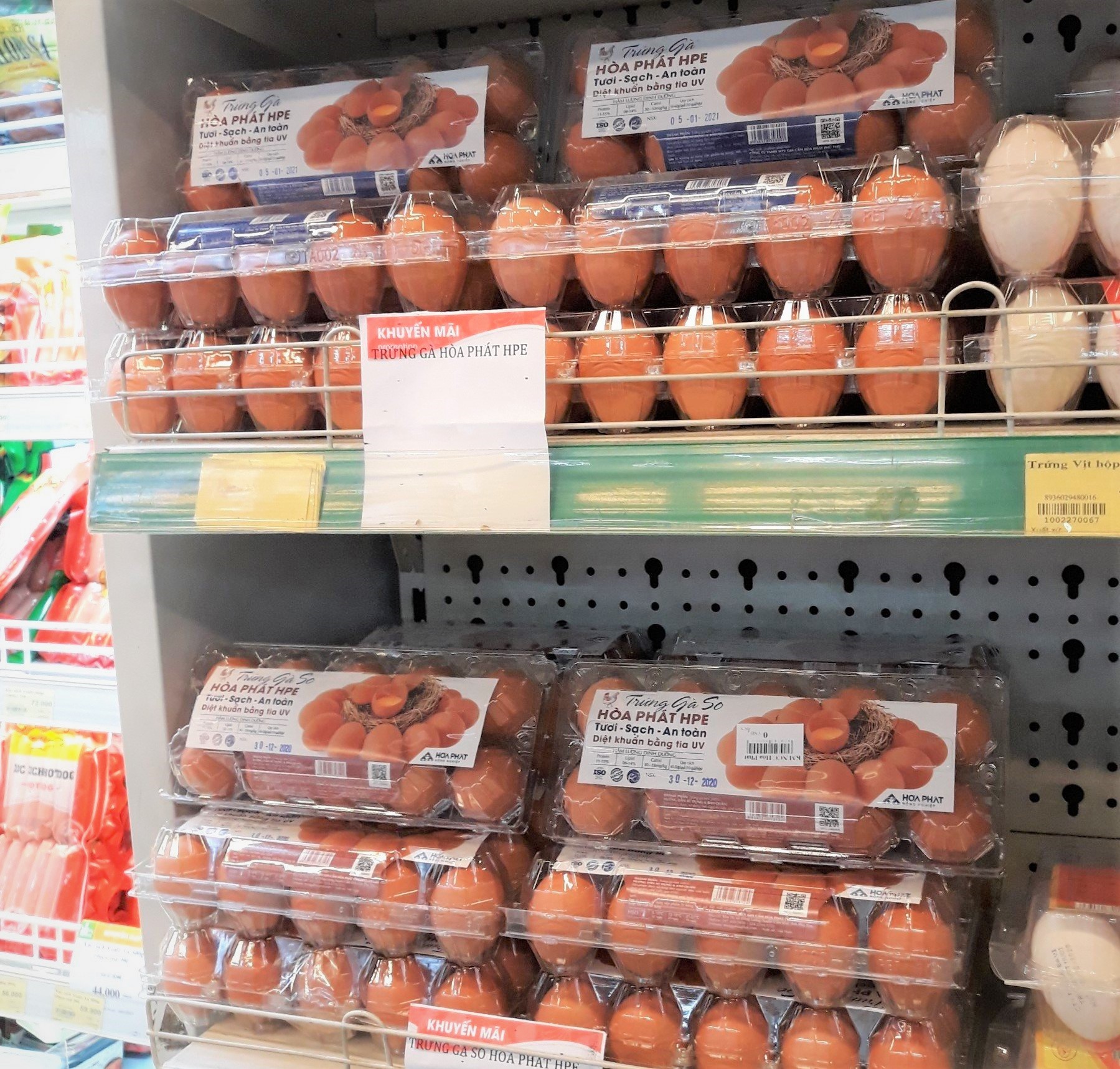 Trứng gà sạch Hòa Phát đã vào hàng loạt siêu thị 1